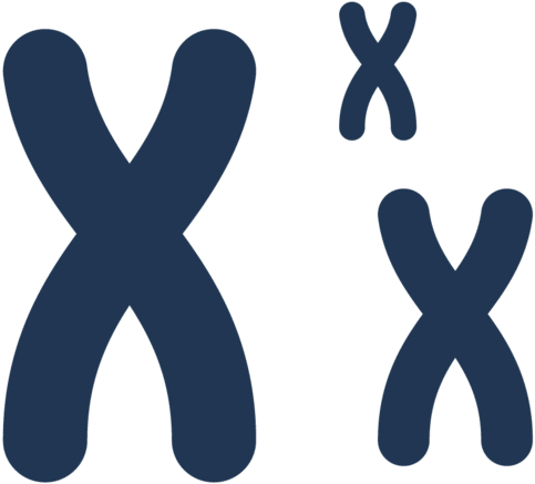 Discover How The Smrt Sequencing Applications Can Empower - Coloring Book Clipart (800x623), Png Download