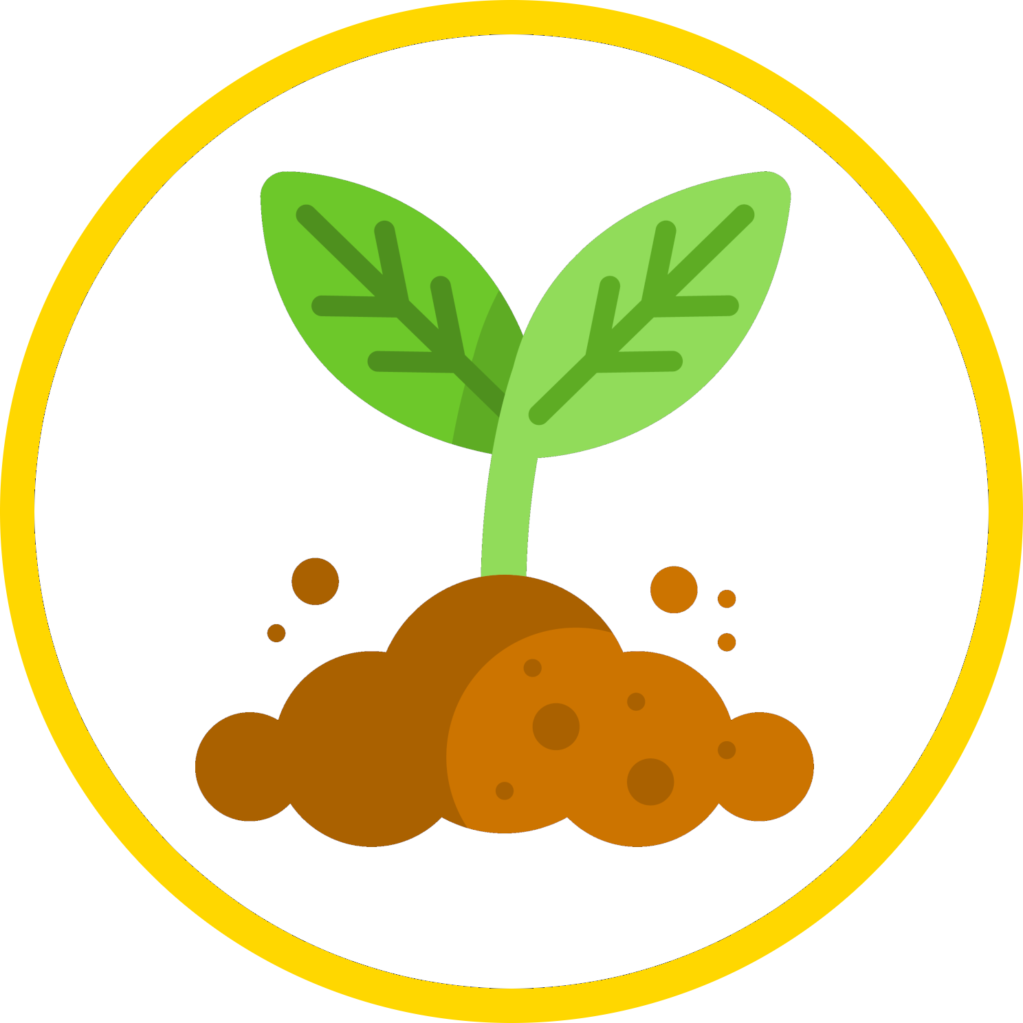 Winners Of The Undergraduate 'best Plant Synthetic - Plant Cartoon Png Clipart (1488x1488), Png Download