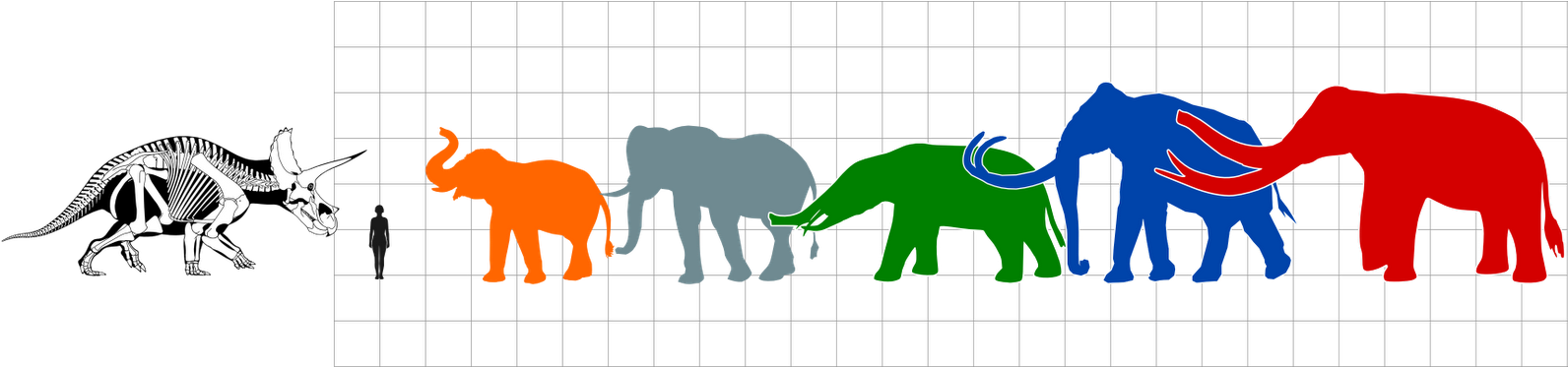 Debate Clipart Memorized Speech - Sous-chemise A4 - Tricératops - Png Download (1600x372), Png Download