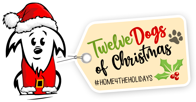 All - Christmas Clipart (835x458), Png Download
