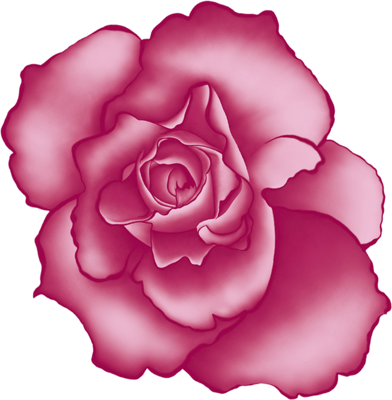 Pink - Rose Clipart (785x800), Png Download