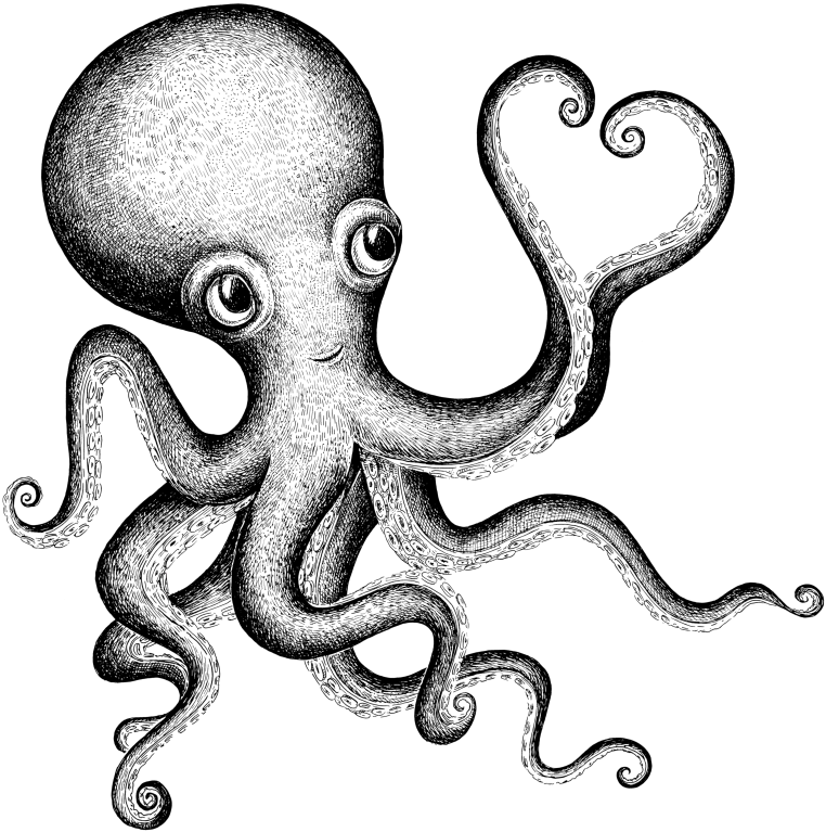 Valentine S Day Drawing Clip Art Octapus - Png Download (1024x1024), Png Download