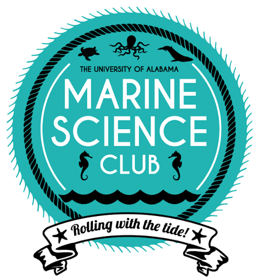 Starfish Clipart Marine Science - Png Download (600x764), Png Download