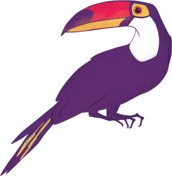 Clip Art Transparent Download About Amaz Nia Font Menu - Toucan - Png Download (559x575), Png Download