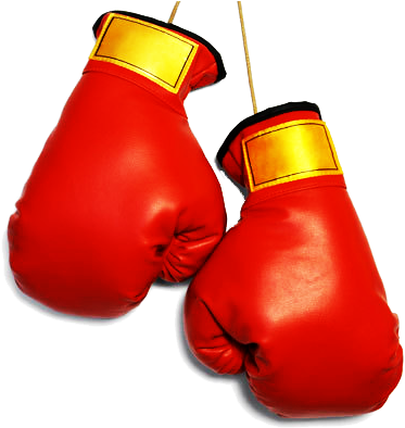 Boxing Gloves Png File - Boxing Gloves Png Clipart (800x500), Png Download