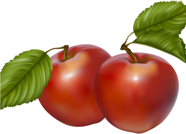 Autumn Clipart Basket - 2 Apples Clipart - Png Download (640x480), Png Download