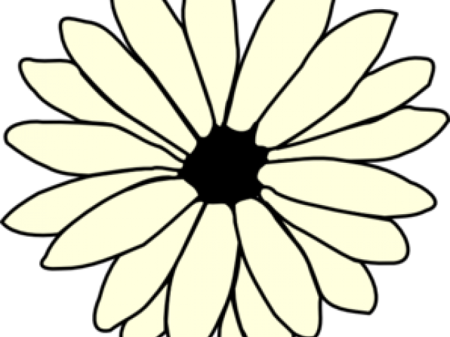 Daisy Clipart Books - Single Flower Coloring Flower - Png Download (640x480), Png Download