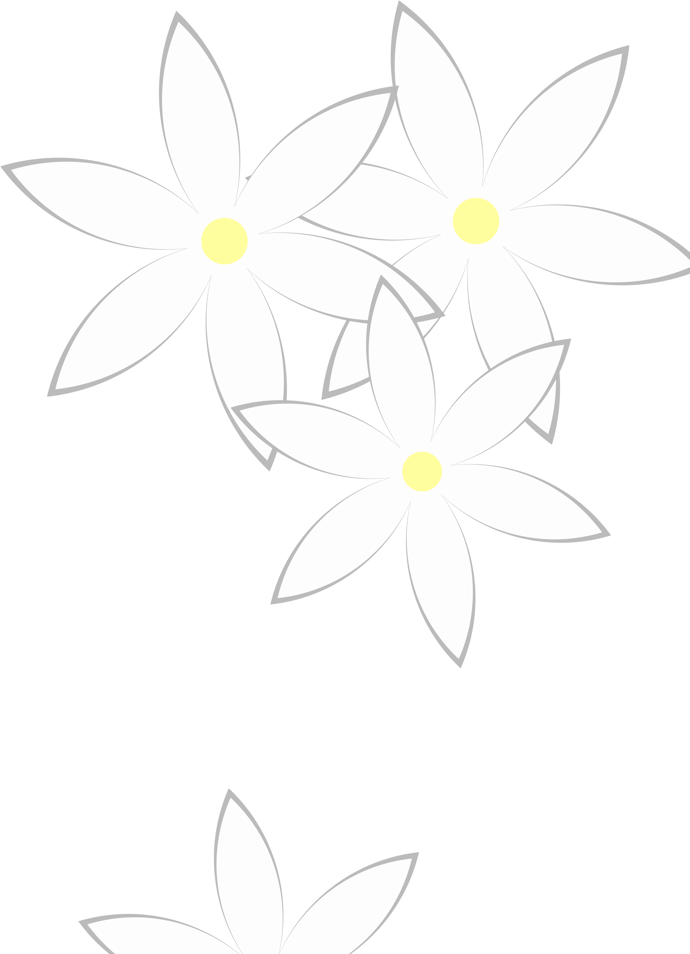 Free Daisies Clipart (566x800), Png Download