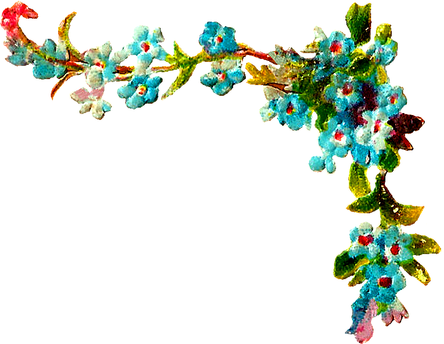 Wildflower Clip Art - Wild Flower Corner - Png Download (1000x785), Png Download