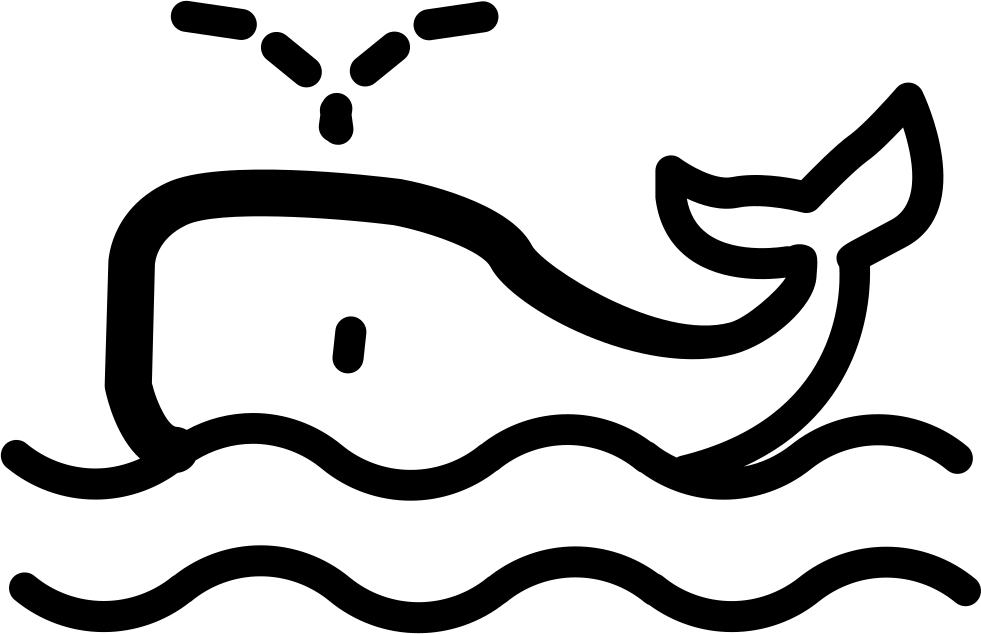 Whale Watching Svg Png Icon Free Download - Beluga Whale Clipart (981x634), Png Download