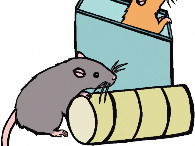 Rat Clipart Friendly - Png Download (640x480), Png Download