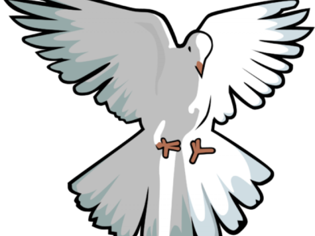 Dove Clip Art - Png Download (640x480), Png Download