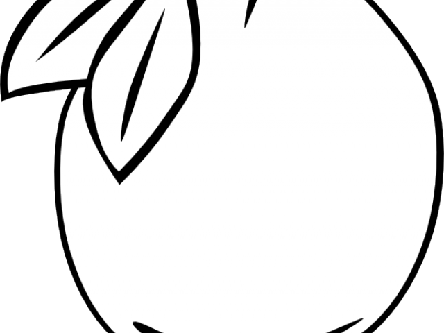 Orange Fruit Clipart Circle - Coloring Book - Png Download (640x480), Png Download