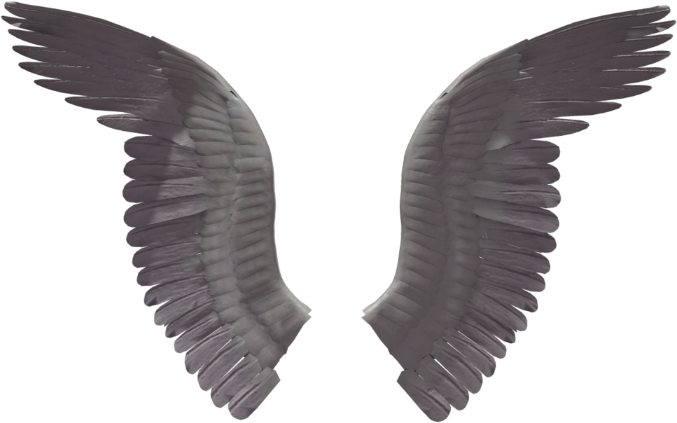 Eagle Clipart Clear Background - Eagle Wings No Background - Png Download (1024x639), Png Download