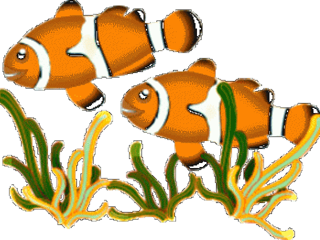 Marine Fish Clipart One Fish - Fishes Clipart - Png Download (640x480), Png Download