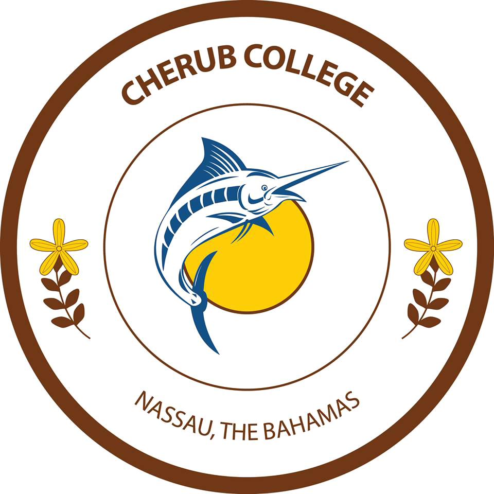 Cherub College - Blue Marlin Jumping Round Ornament Clipart (960x960), Png Download