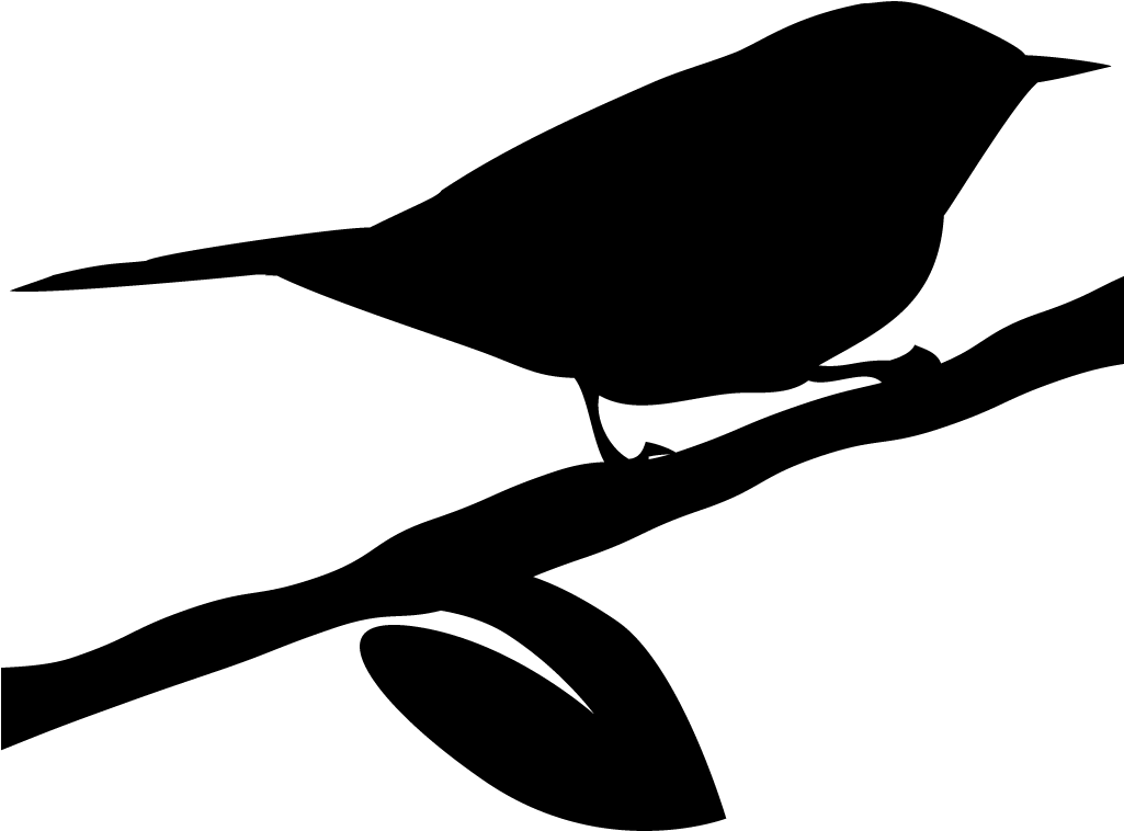 Ovenbird - Warbler Silhouette Clipart (1024x1024), Png Download