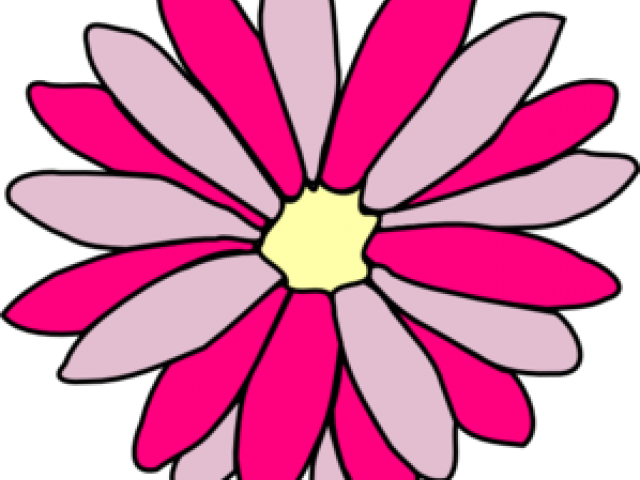 Pink Daisy Clipart - Clip Art - Png Download (640x480), Png Download