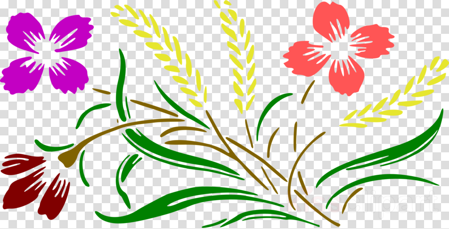 Designs Colour Clip Art Clipart Floral Design Clip - Floral Design - Png Download (900x460), Png Download