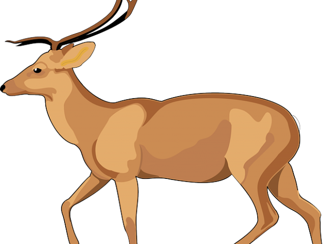Gazelle Clipart Male Deer - Debden Park High School - Png Download (640x480), Png Download