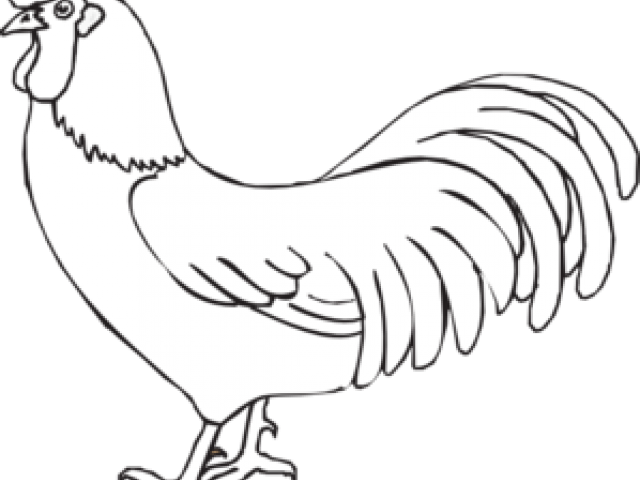 Rooster Clipart Rooster Outline - Rooster Drawing Outline - Png Download (640x480), Png Download