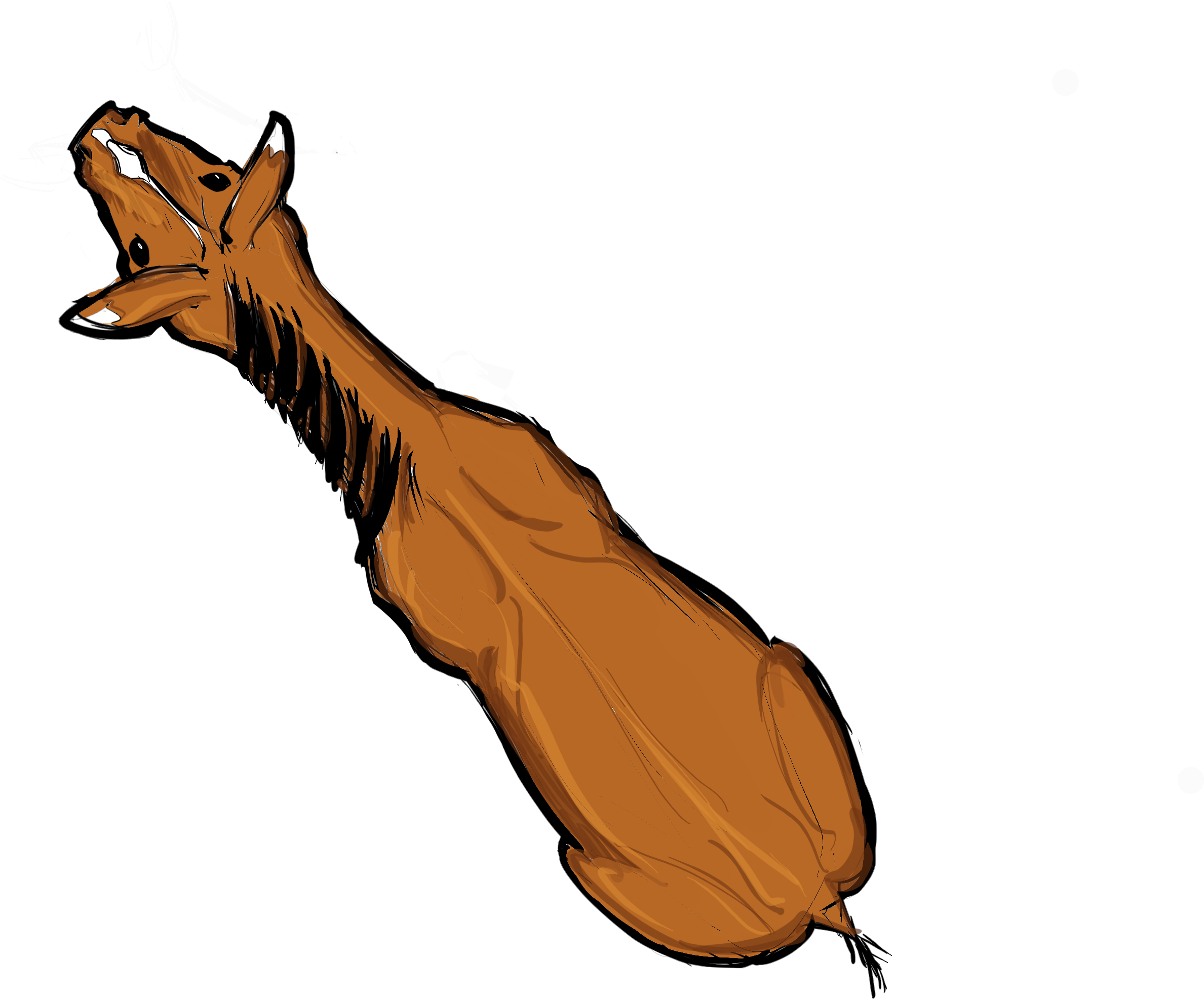 Horse From Above Clipart (3000x3000), Png Download