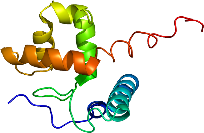 Arid1a Protein Clipart (702x473), Png Download