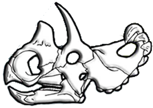 Wendiceratops Skull Diagram Clipart (693x489), Png Download