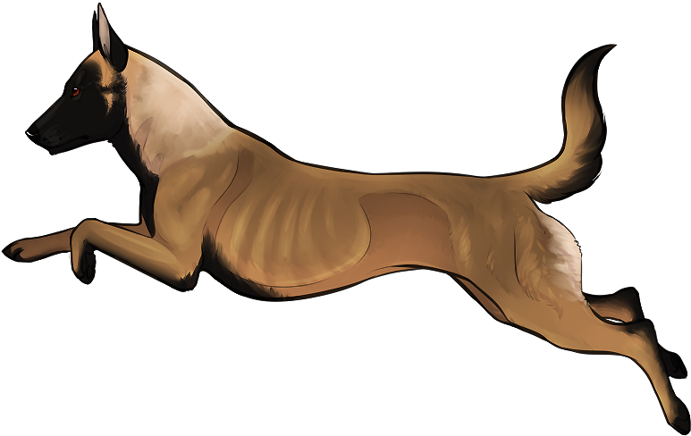 Aeta Portion One - Companion Dog Clipart (800x502), Png Download