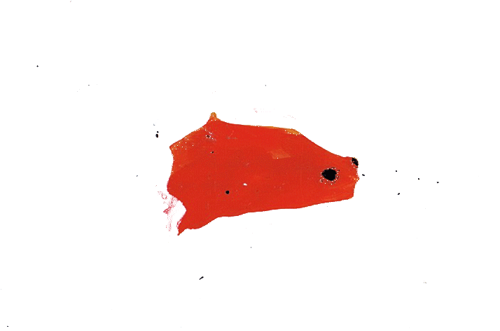 Asuka Grün Illustration - Chrismon Tree Clipart (720x480), Png Download