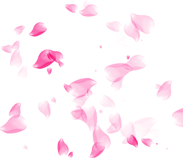 Clip Freeuse Stock Petal Png And Psd File For Free Transparent Png (640x640), Png Download