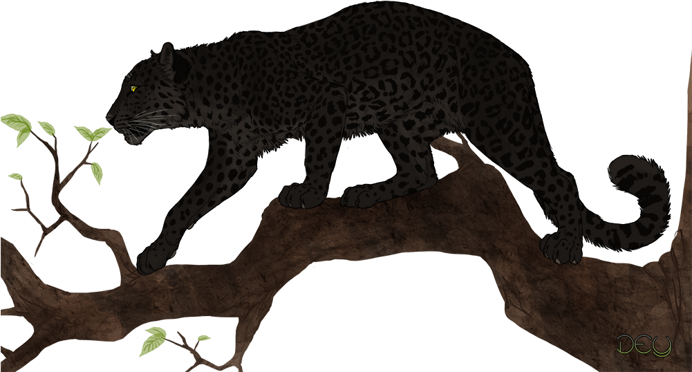 Out On A Limb - Jaguar Clipart (1000x587), Png Download