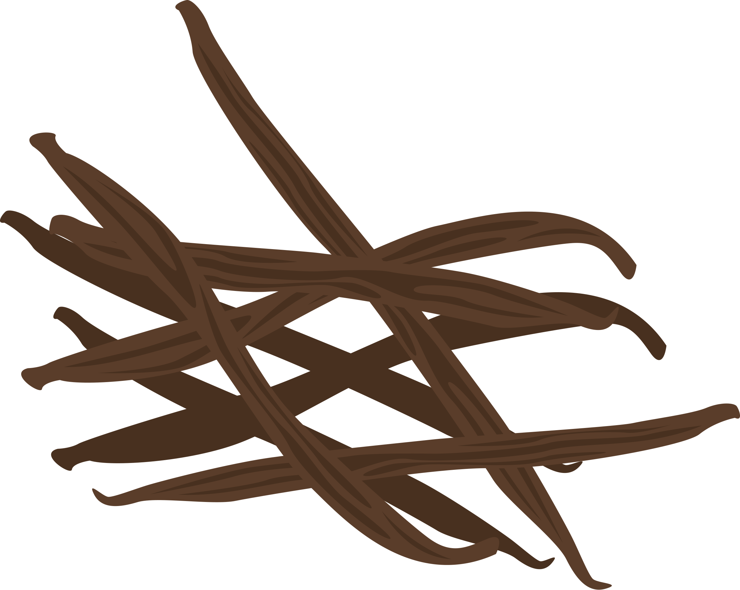 Published On February 13 2014 Full Size - Vanilla Clipart (2370x1890), Png Download