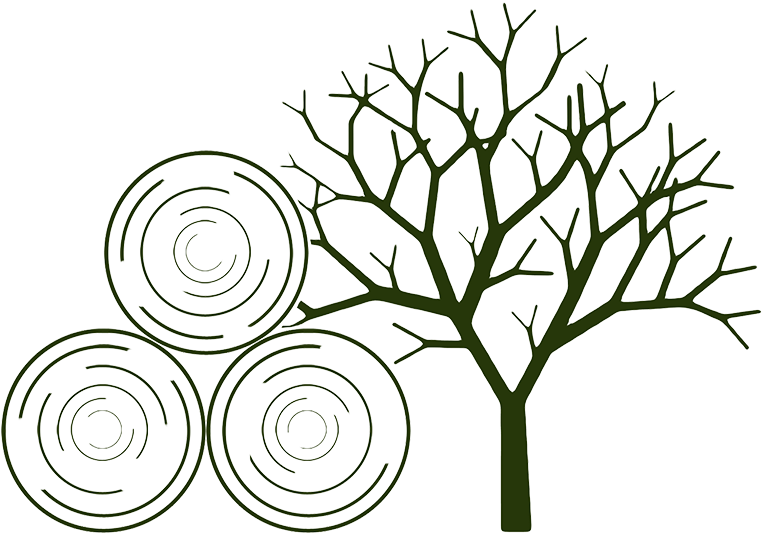 Firewood Processing - Dead Tree Silhouette Clipart (800x575), Png Download