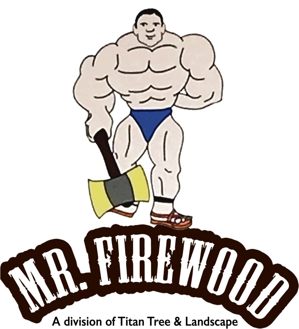 Mr Firewood Logo - Gamble In The Devil's Chalk [book] Clipart (960x1080), Png Download