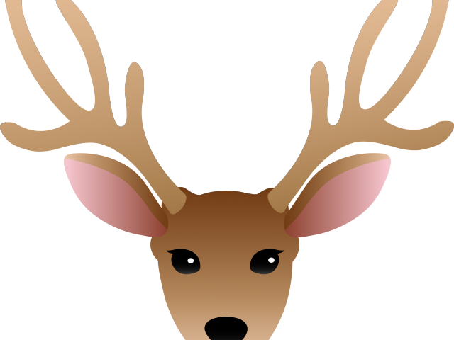 Doe Head Cliparts - Png Download (640x480), Png Download