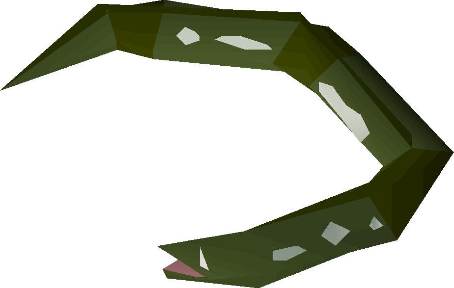 Raw Slimy Eel Detail - Wiki Clipart (924x587), Png Download