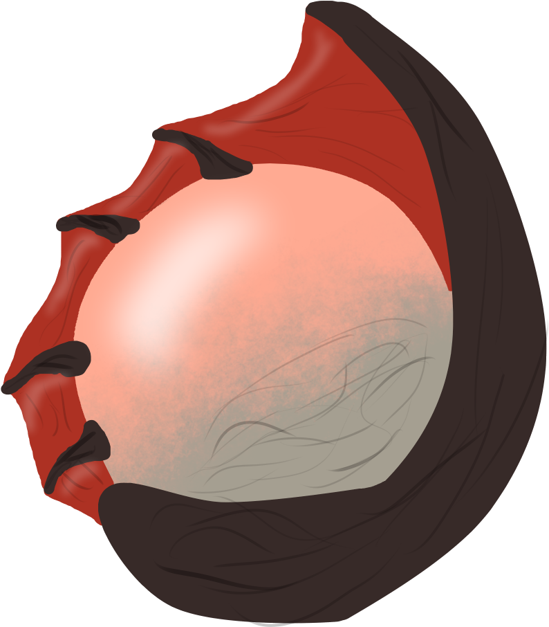 Lava Eel Egg Clipart (1000x1000), Png Download