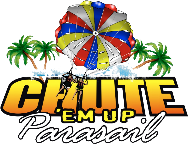 Chute Em Up Parasail - Beistle 55137 Jointed Palm Tree, 6-feet Clipart (800x610), Png Download