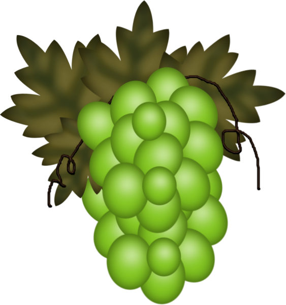 Leaf Clipart (563x600), Png Download
