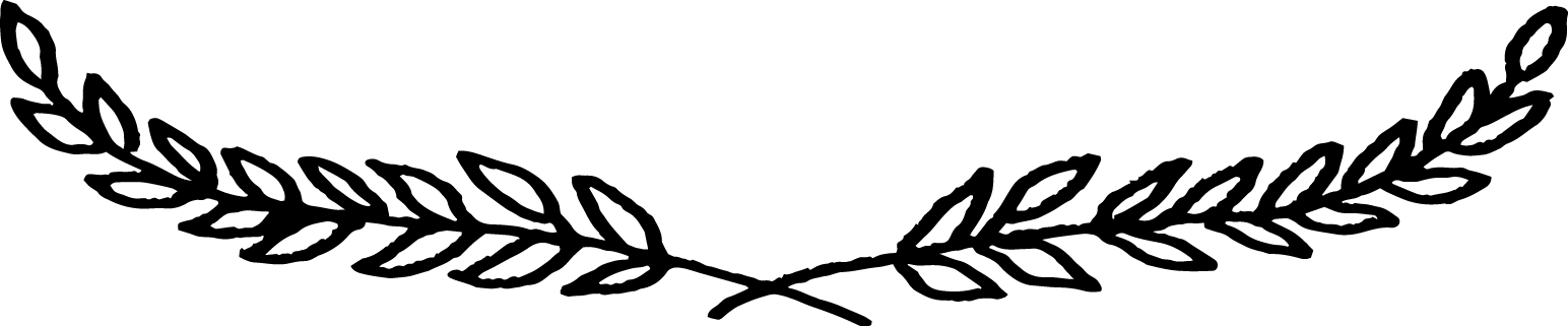 We've Used Simple Baubles And Cut Pine Branches To Clipart (1544x321), Png Download