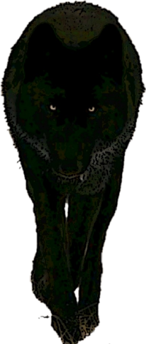 Wolf Clipart (480x1134), Png Download