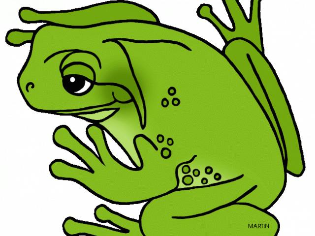 Green Frog Clipart Real Frog - Green Frog Clipart - Png Download (640x480), Png Download