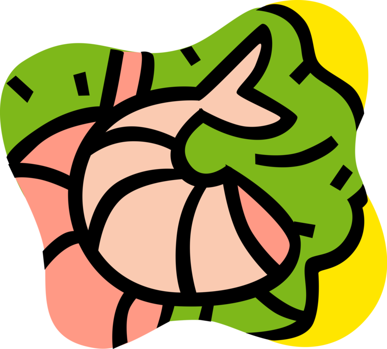 Vector Illustration Of Decapod Marine Crustacean Prawn Clipart (775x700), Png Download