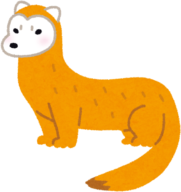 Ferret - Cartoon Clipart (687x726), Png Download