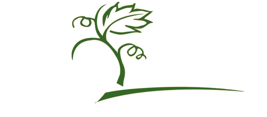 Portfolio - Green Beans Clipart (942x426), Png Download