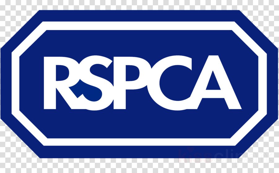 Rspca Logo Clipart Royal Society For The Prevention - Motorola Scout 85 Connect Monitoring Camera With Wi-fi - Png Download (900x560), Png Download