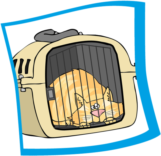 Mid Atlantic Cat Hospital Clipart (576x557), Png Download