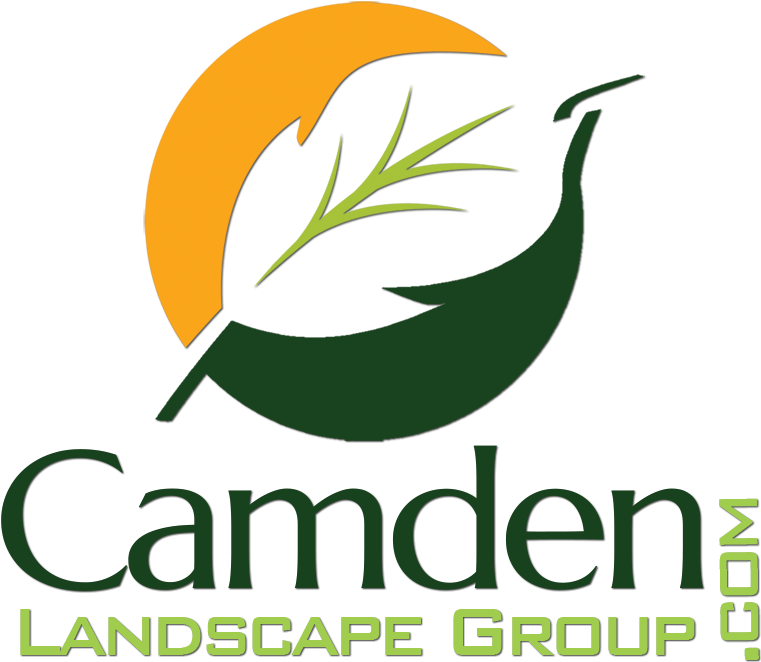 Physician Clipart (802x805), Png Download