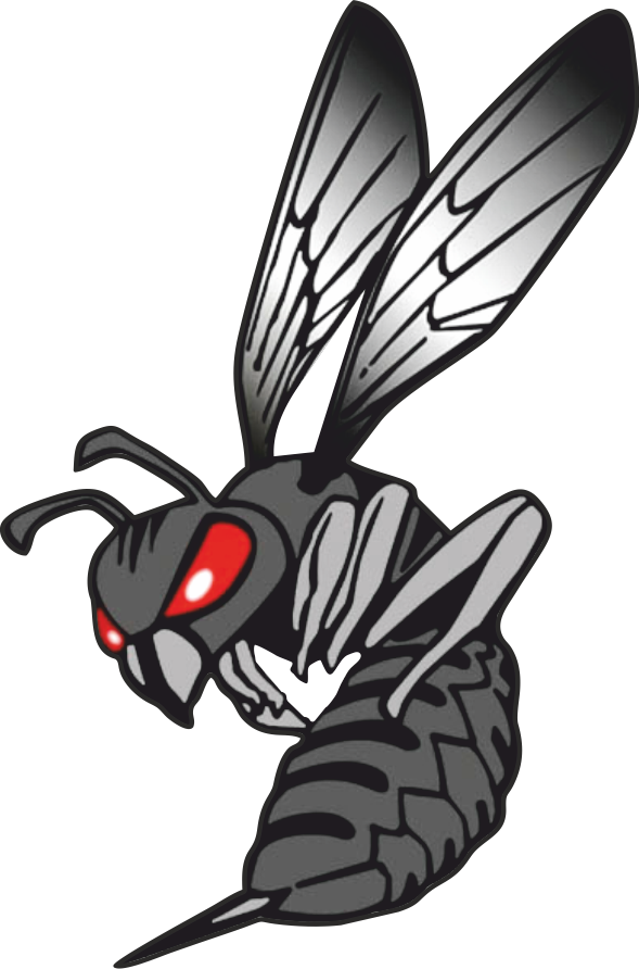 Hornet Clipart Black And White - Boeing F/a-18e/f Super Hornet - Png Download (589x892), Png Download